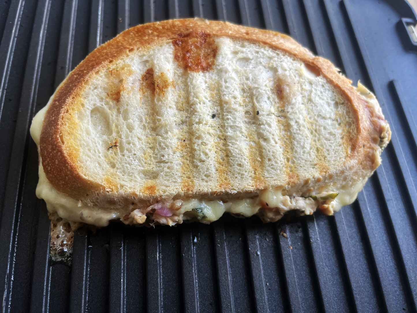 Olive Caper Tuna Melt Panini